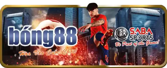 Sự kiện đặc biệt và giải đấu